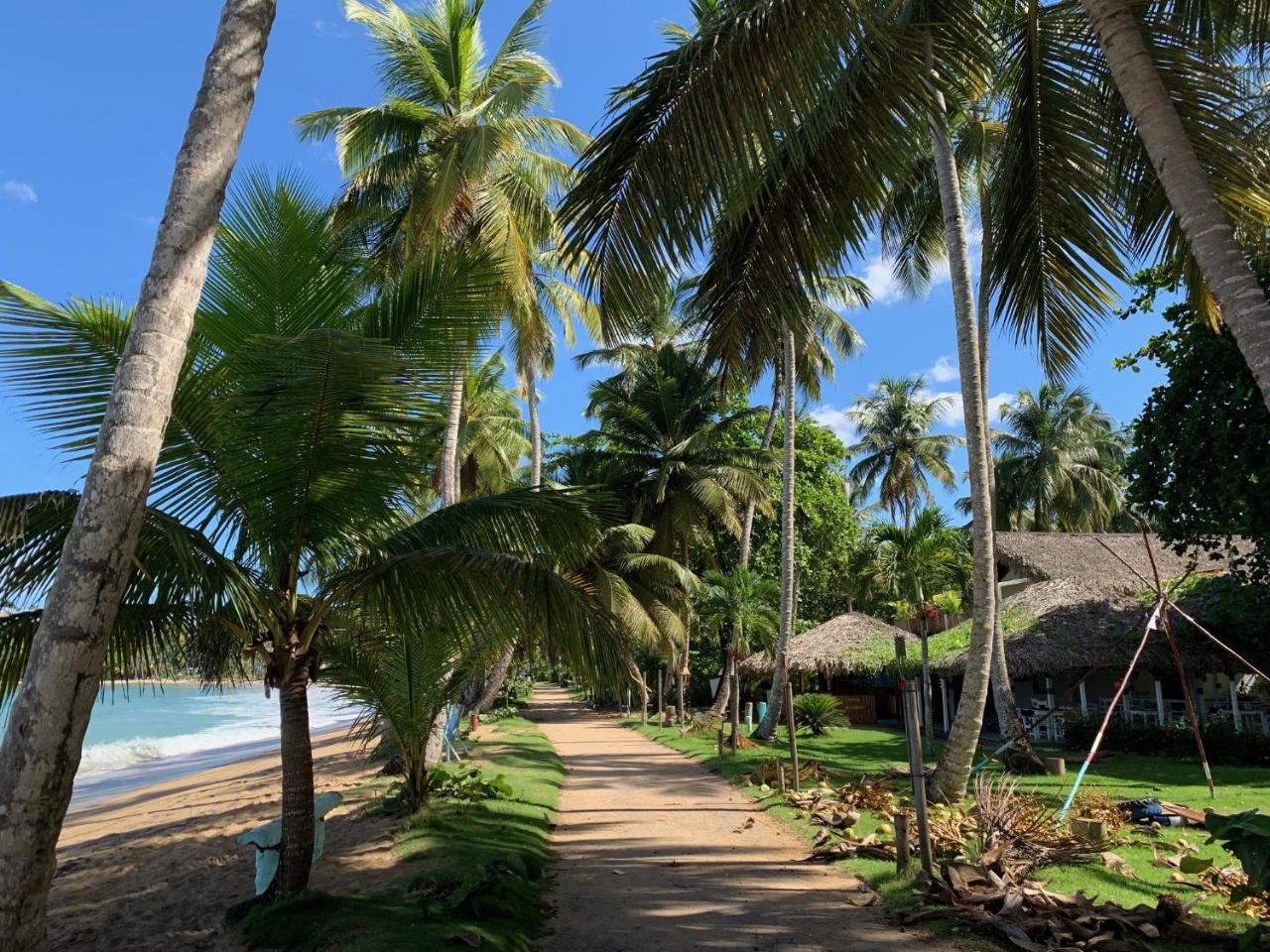 El Mosquito Boutique Hotel Playa Bonita Las Terrenas Eksteriør billede