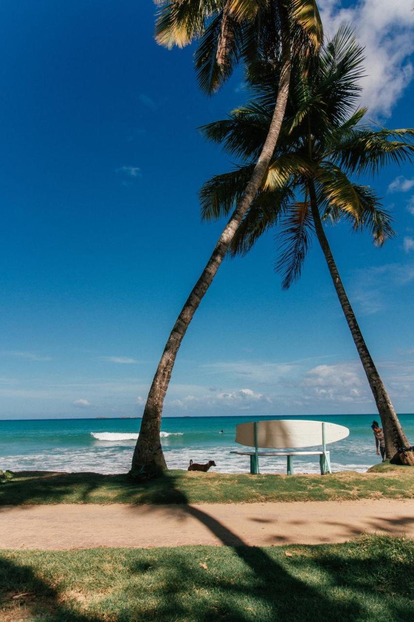 El Mosquito Boutique Hotel Playa Bonita Las Terrenas Eksteriør billede