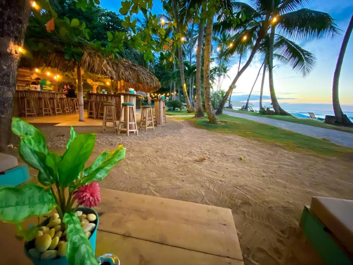 El Mosquito Boutique Hotel Playa Bonita Las Terrenas Eksteriør billede